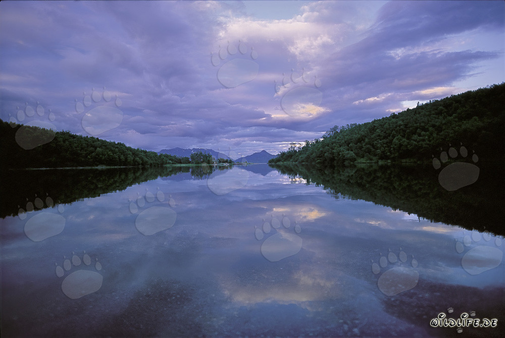 Evening at Lake Coville