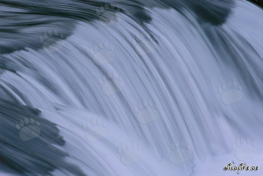 Idyllischer Brooks River Wasserfall in Katmai Nationalpark, Alaska