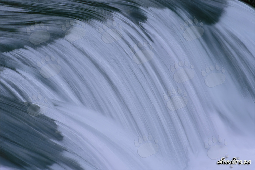 Chute d'eau idyllique du fleuve Brooks dans le parc national de Katmai, Alaska