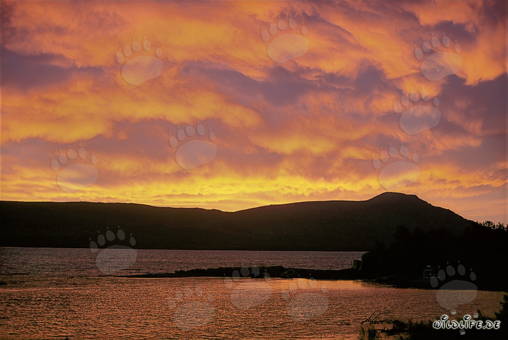 Alba drammatica sul lago Naknek a Katmai, Alaska