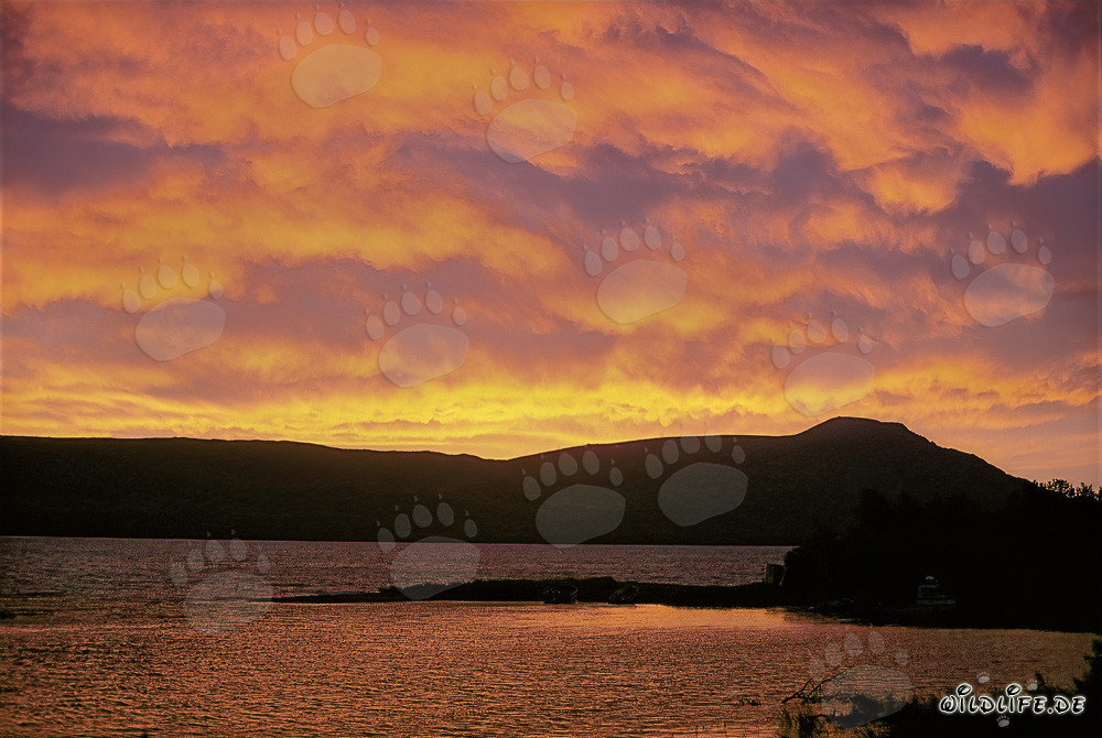 Dramatic Sunrise at Naknek Lake in Katmai, Alaska