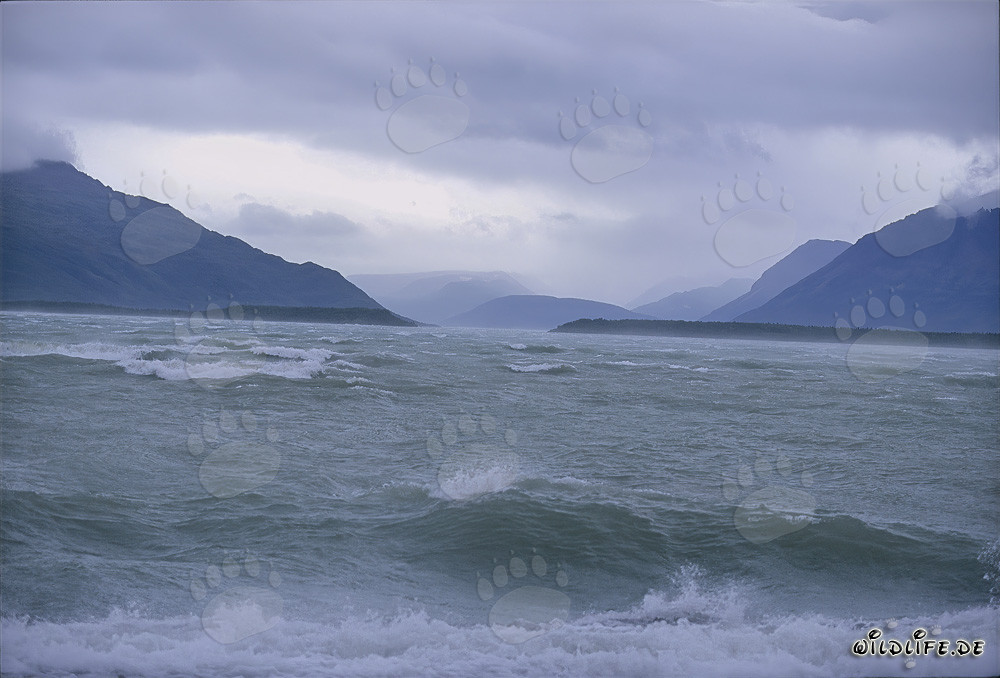 Storm on the Naknek Lake in Alaska during autumn season