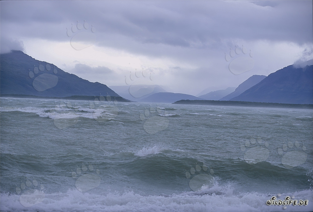 Sturm am Naknek Lake in Alaska während Herbstsaison