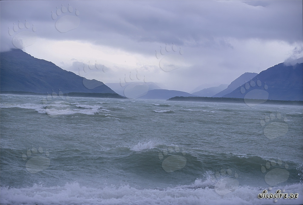 Tempesta sul lago Naknek in Alaska durante la stagione autunnale