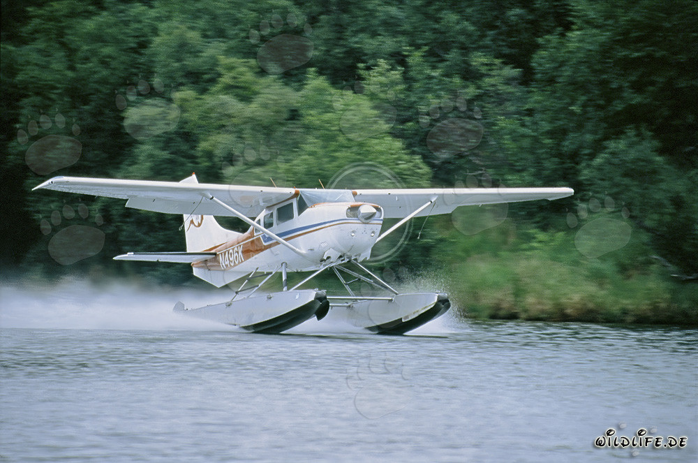 Floatplane taking off in Alaska at Lake Coville