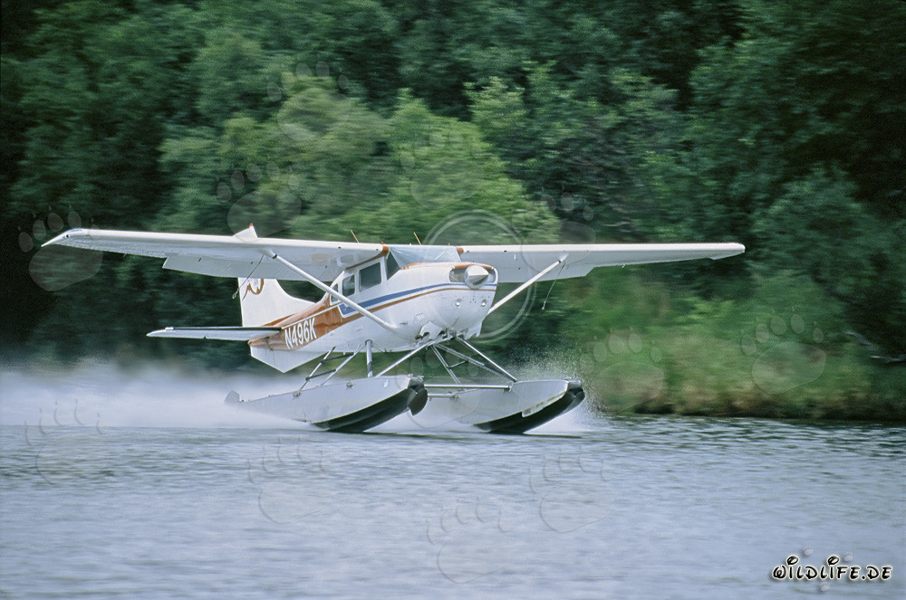 Hidroavión despegando en el lago Coville en Alaska