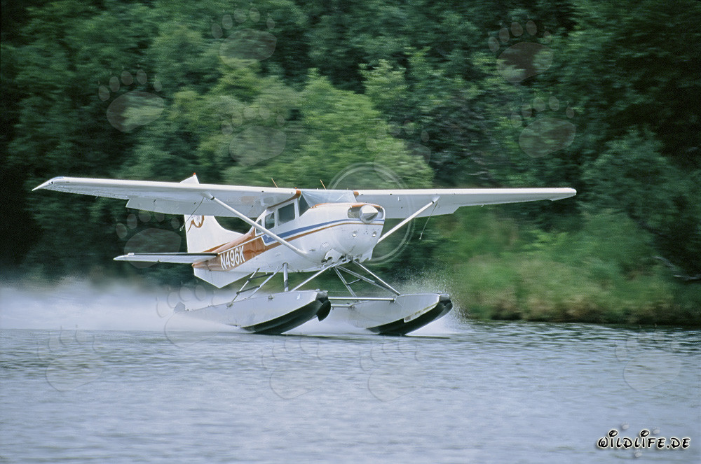 Wasserflugzeug in Alaska startet am Lake Coville