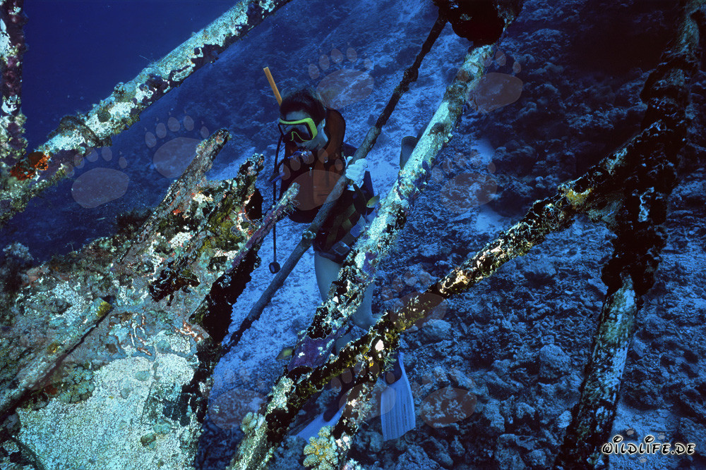Rusty wreck in the deep waters of the Indian Ocean