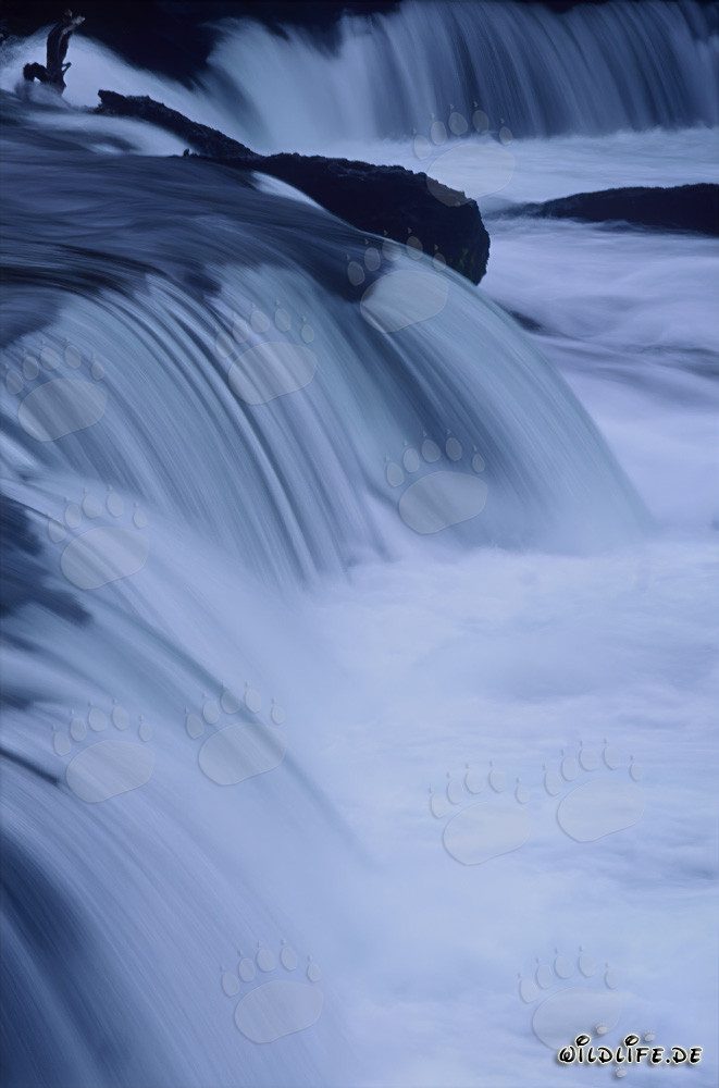 Malerischer Wasserfall am Brooks River