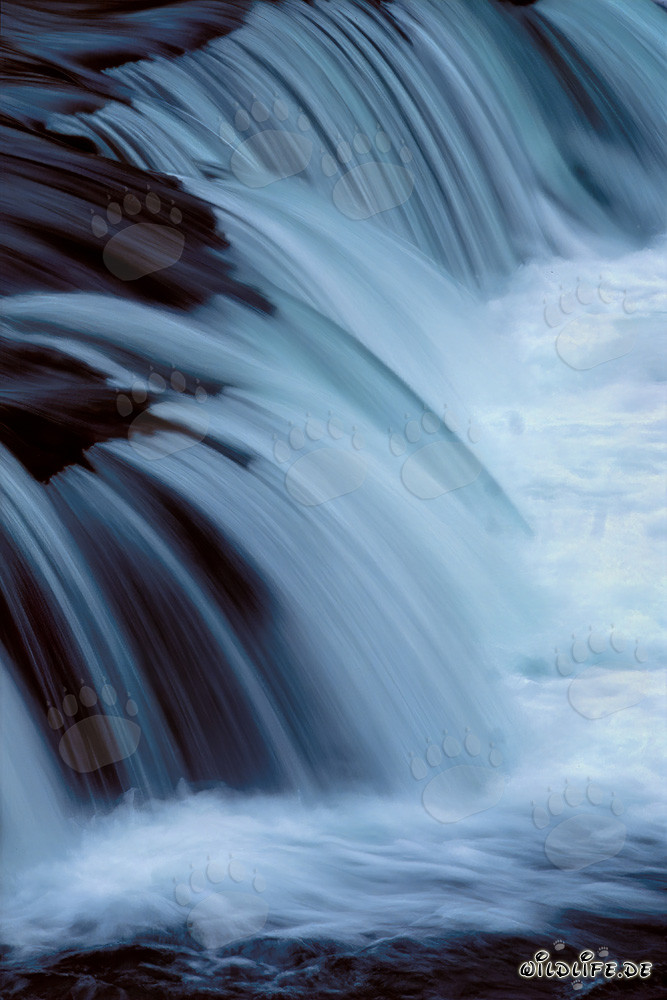 Cascada pintoresca en el río Brooks: Obstáculo para los salmones