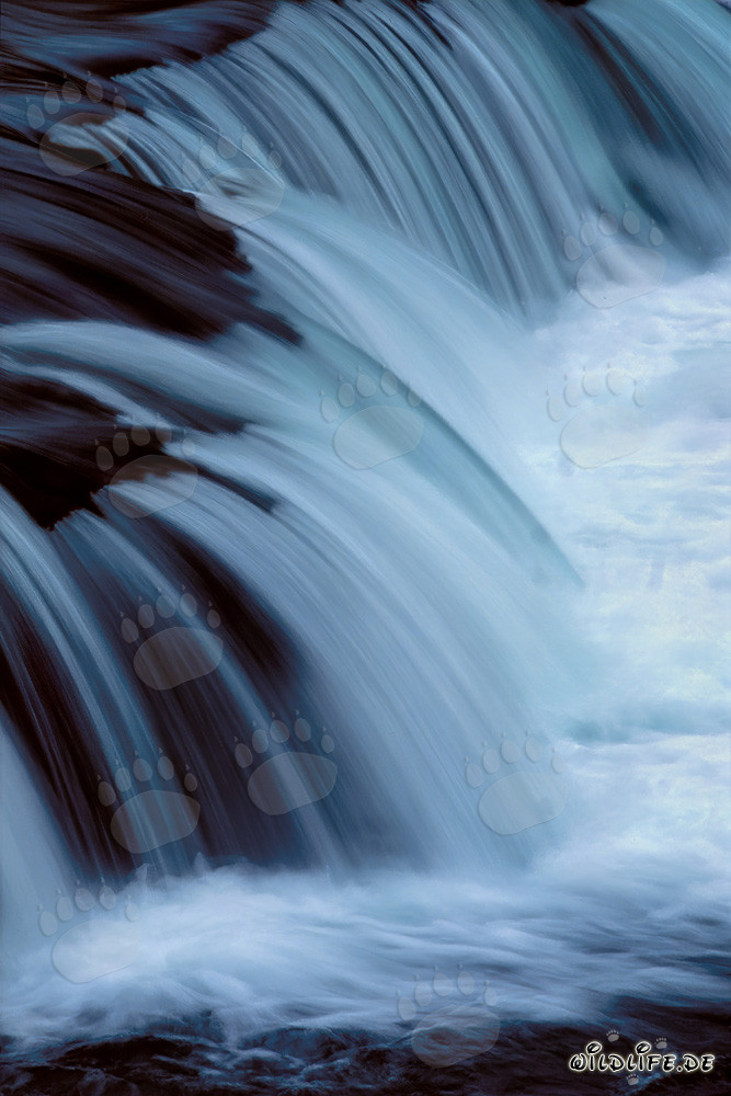 Cascata pittoresca sul fiume Brooks: Ostacolo per i salmoni