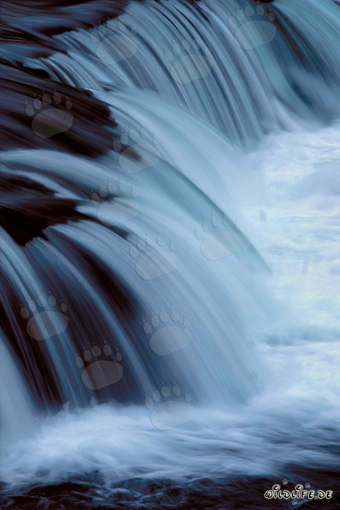 Picturesque Waterfall at Brooks River: Obstacle for Salmon