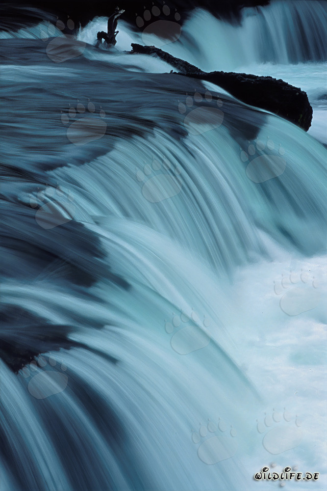 Picturesque Brooks River Waterfall in Alaska