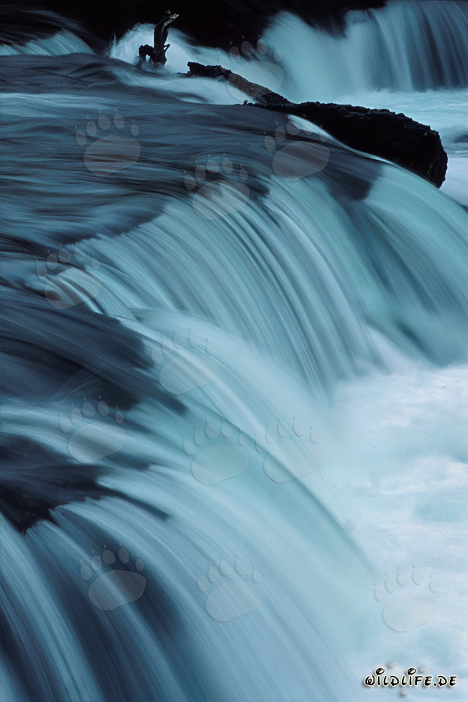 Chute d'eau pittoresque de la rivière Brooks en Alaska