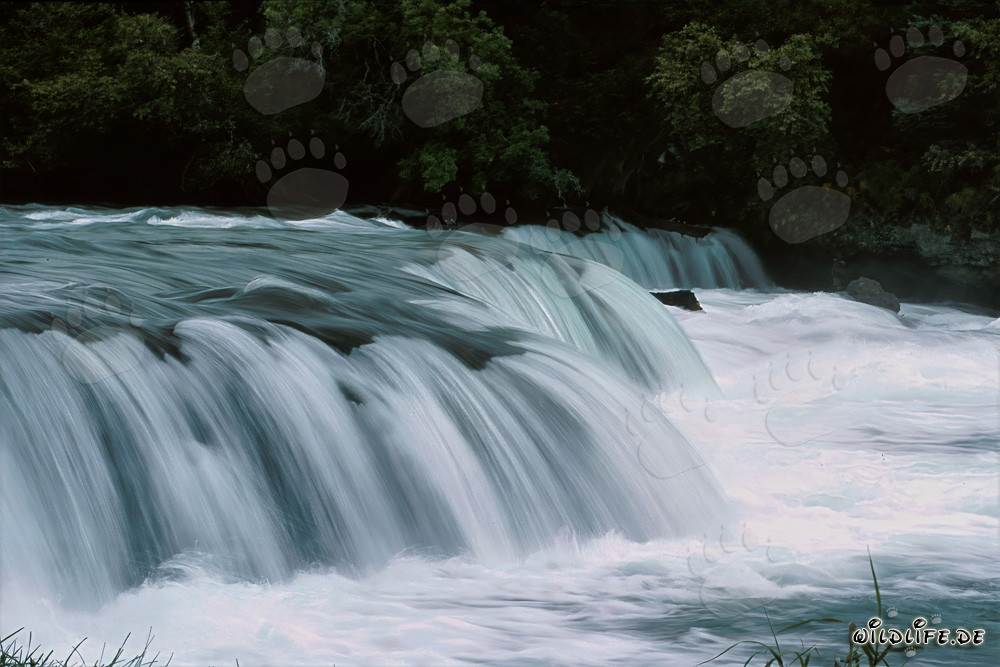 Cascada pintoresca en la barrera del río Brooks