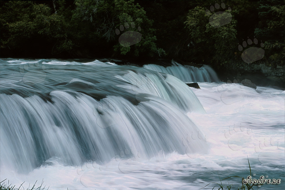 Cascade pittoresque à la barrière de la rivière Brooks