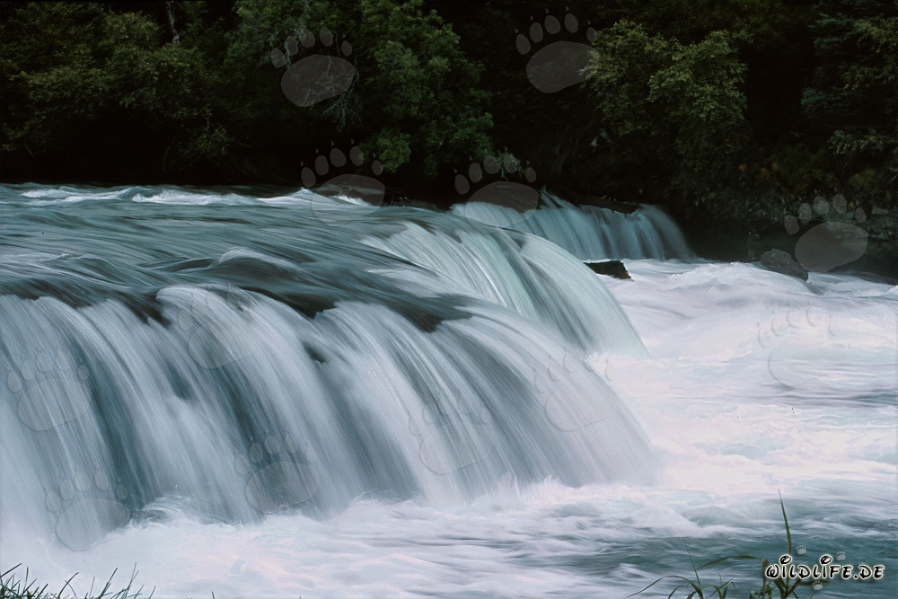 Cascata pittoresca alla barriera del fiume Brooks