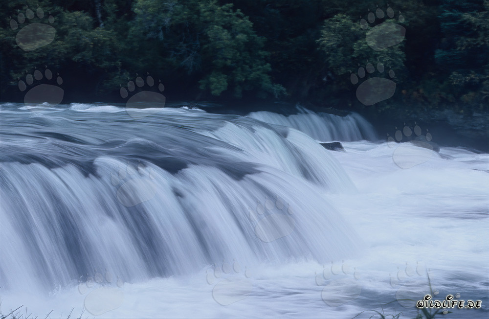Malerischer Wasserfall am Brooks River, Katmai, Alaska