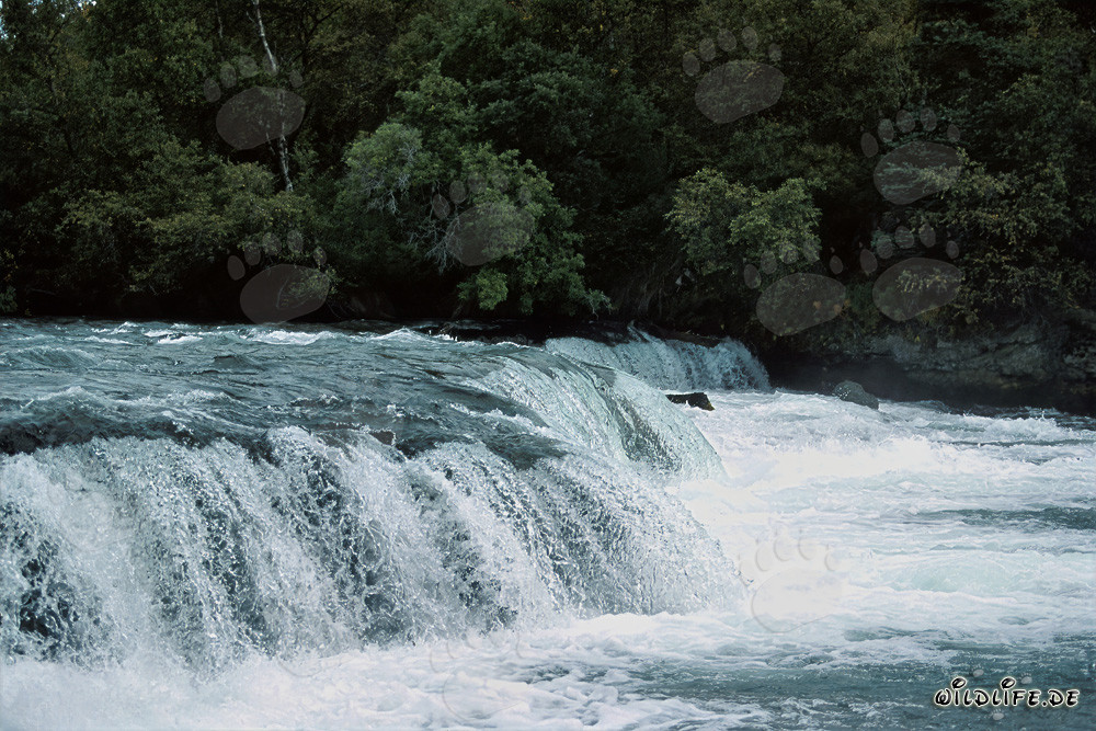 Pintoresca cascada en el río Books