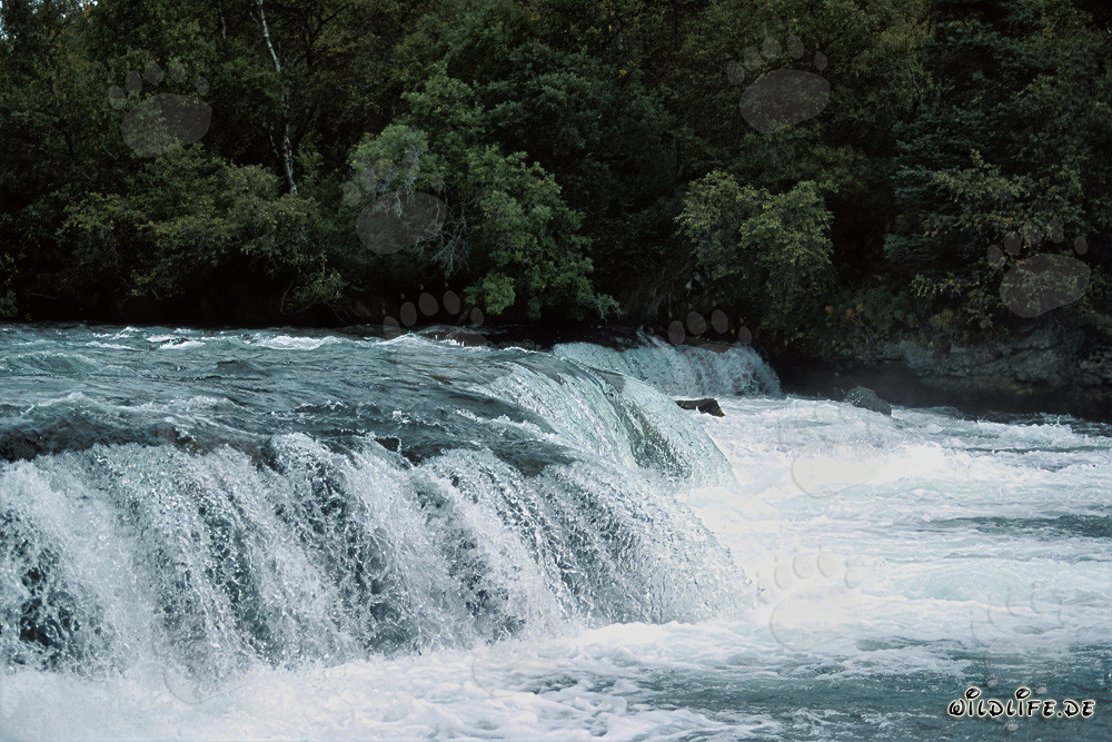 Pittoresca cascata sul fiume Books