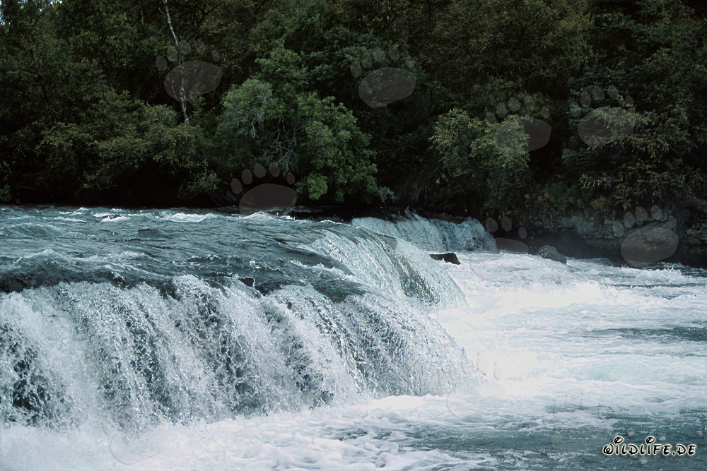Chute d'eau pittoresque sur la rivière Books