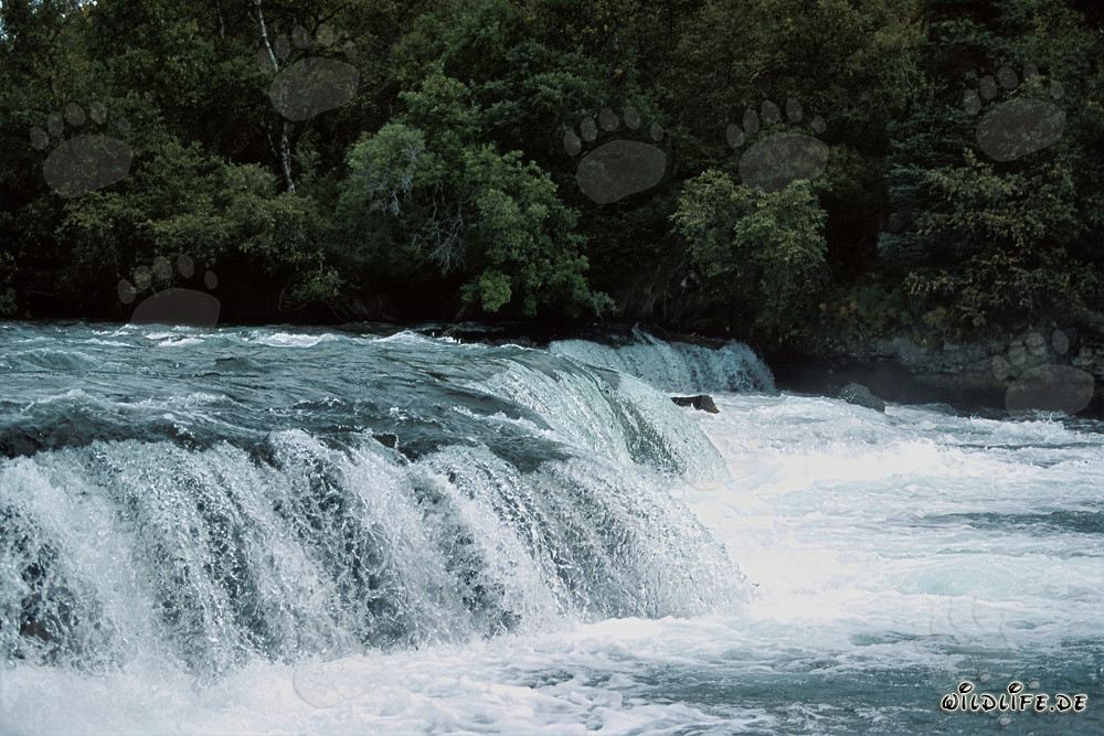 Picturesque Waterfall at Books River