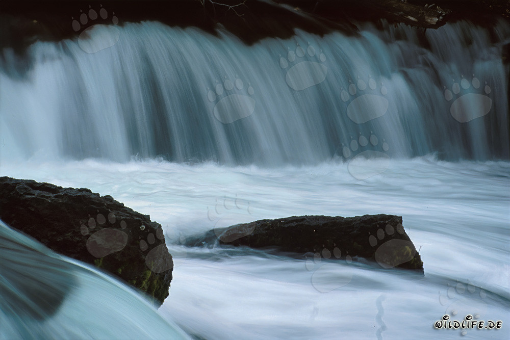 Picturesque Waterfall at Brooks River in Alaska