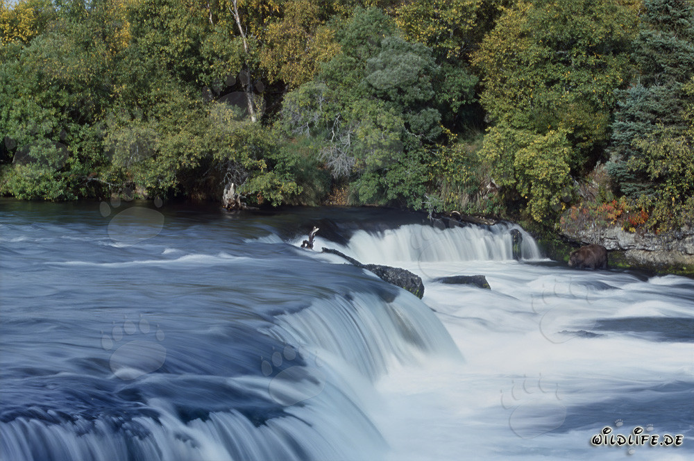 Picturesque Brooks River Falls in Katmai, Alaska