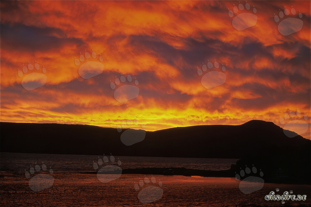 Espectacular tormenta de Williwaw en el lago Naknek en Alaska