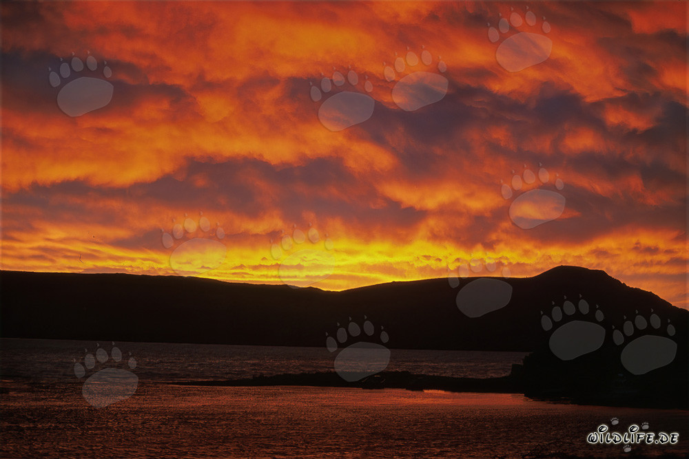 Spektakulärer Williwaw-Sturm am Naknek Lake in Alaska