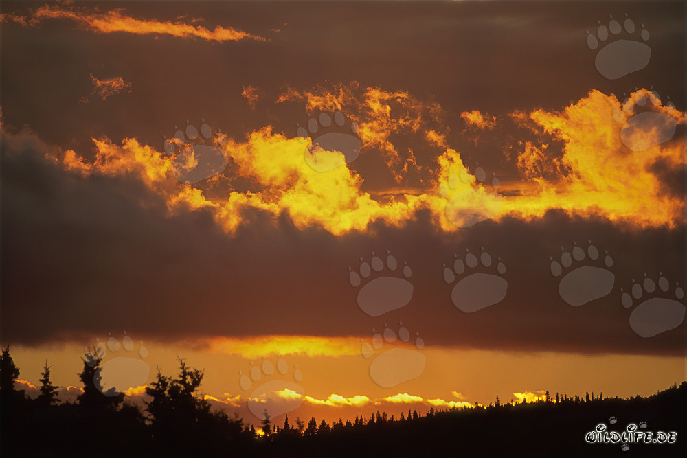 Pintoresco atardecer sobre el lago Naknek en Katmai, Alaska
