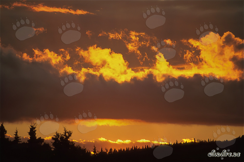 Coucher de soleil pittoresque sur le lac Naknek à Katmai, Alaska