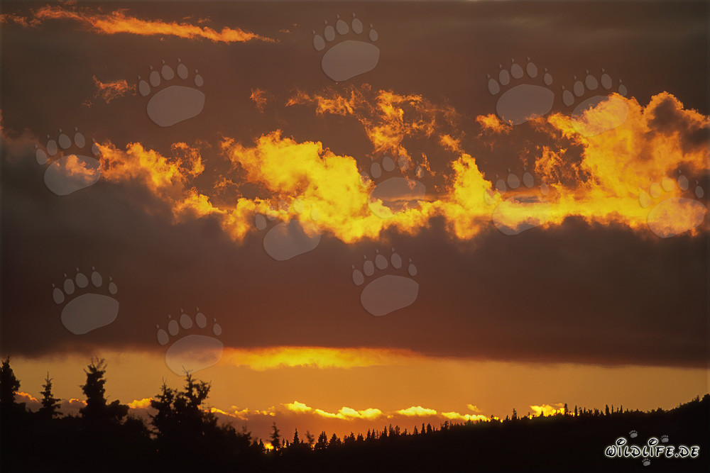 Malerischer Sonnenuntergang über dem Naknek Lake in Katmai, Alaska