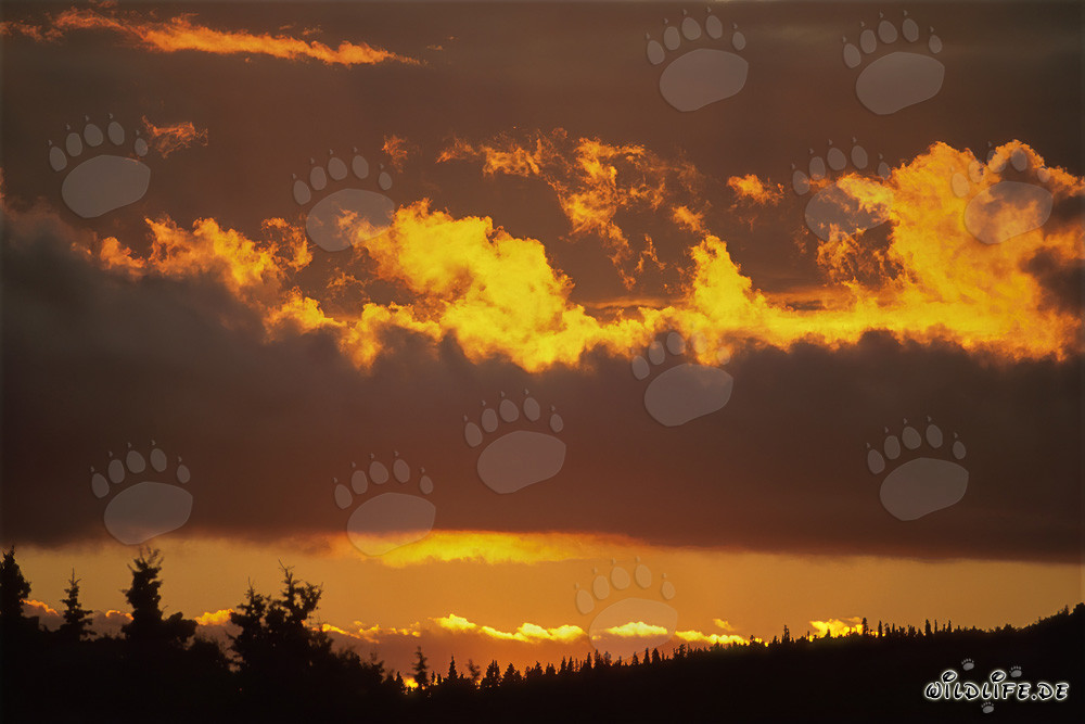 Picturesque sunset over Naknek Lake in Katmai, Alaska