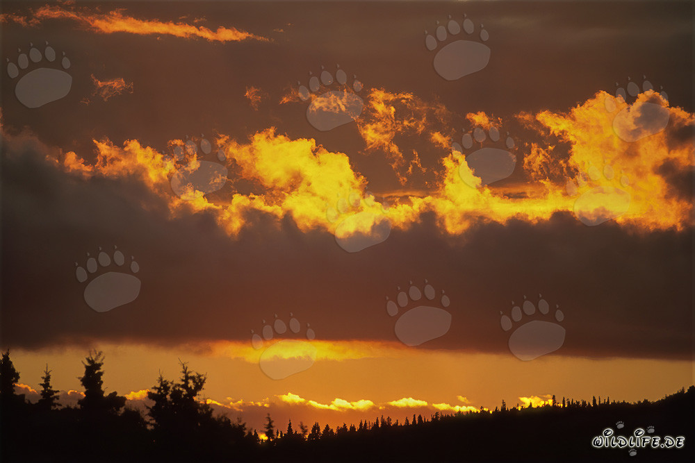 Pittoresco tramonto sul lago Naknek a Katmai, Alaska