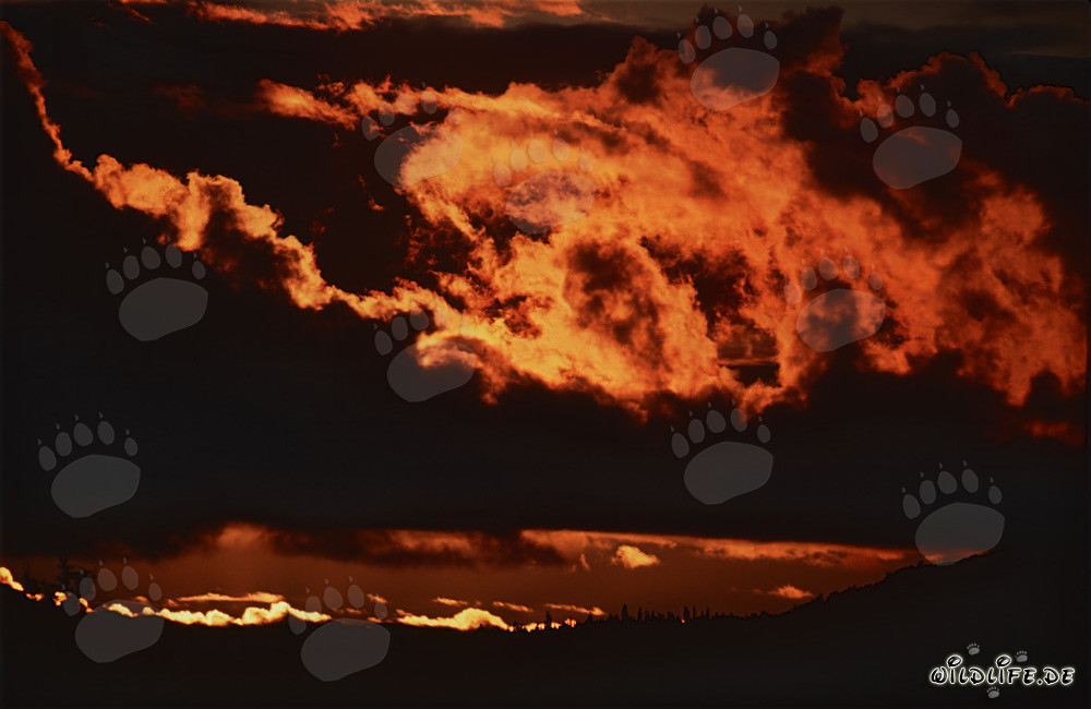 Magical sunset atmosphere at Naknek Lake in Katmai, Alaska