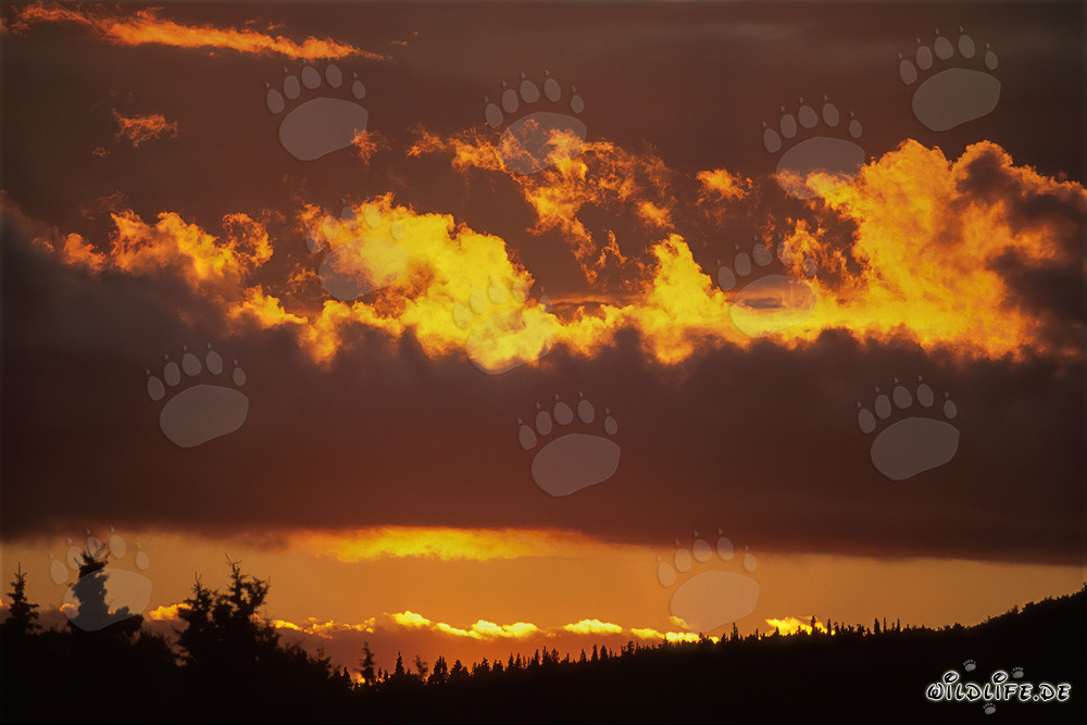 Coucher de soleil spectaculaire sur le lac Naknek à Katmai, Alaska