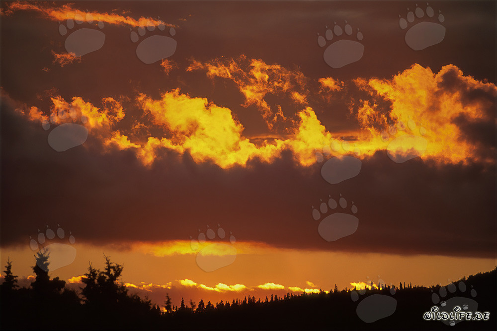Espectacular puesta de sol sobre el lago Naknek en Katmai, Alaska