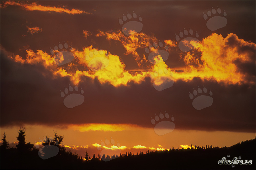 Spektakulärer Sonnenuntergang über dem Naknek Lake in Katmai, Alaska