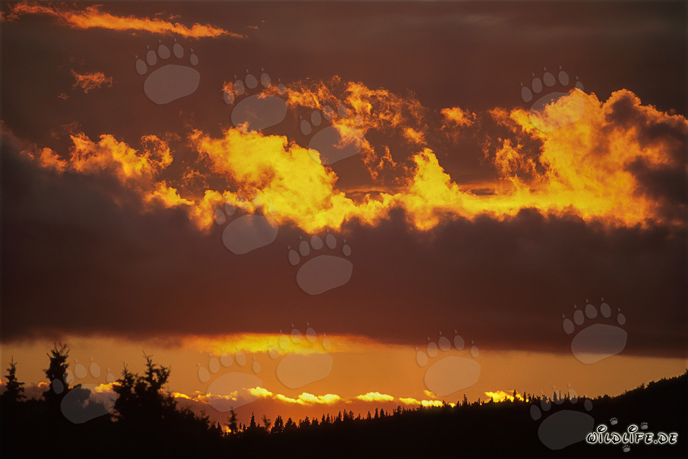 Spectacular sunset over Naknek Lake in Katmai, Alaska