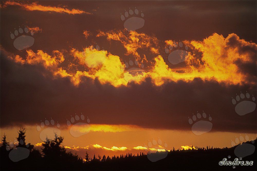 Tramonto spettacolare sul lago Naknek a Katmai, Alaska