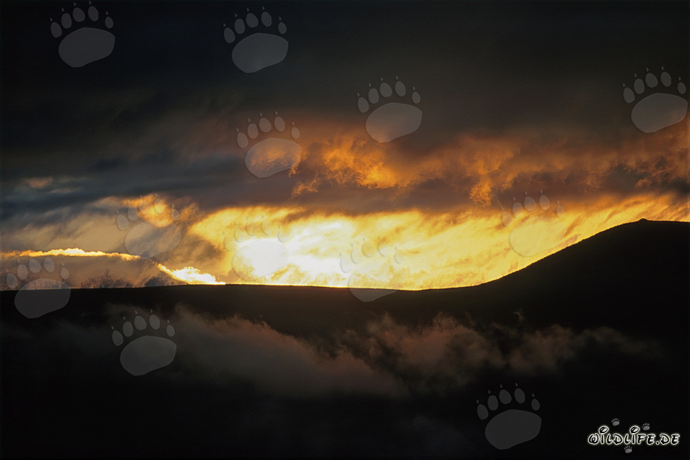 Romantischer Sonnenuntergang über dem Naknek Lake in Alaska