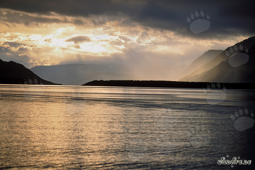 Ambiance pluvieuse pittoresque au lac Naknek en Alaska