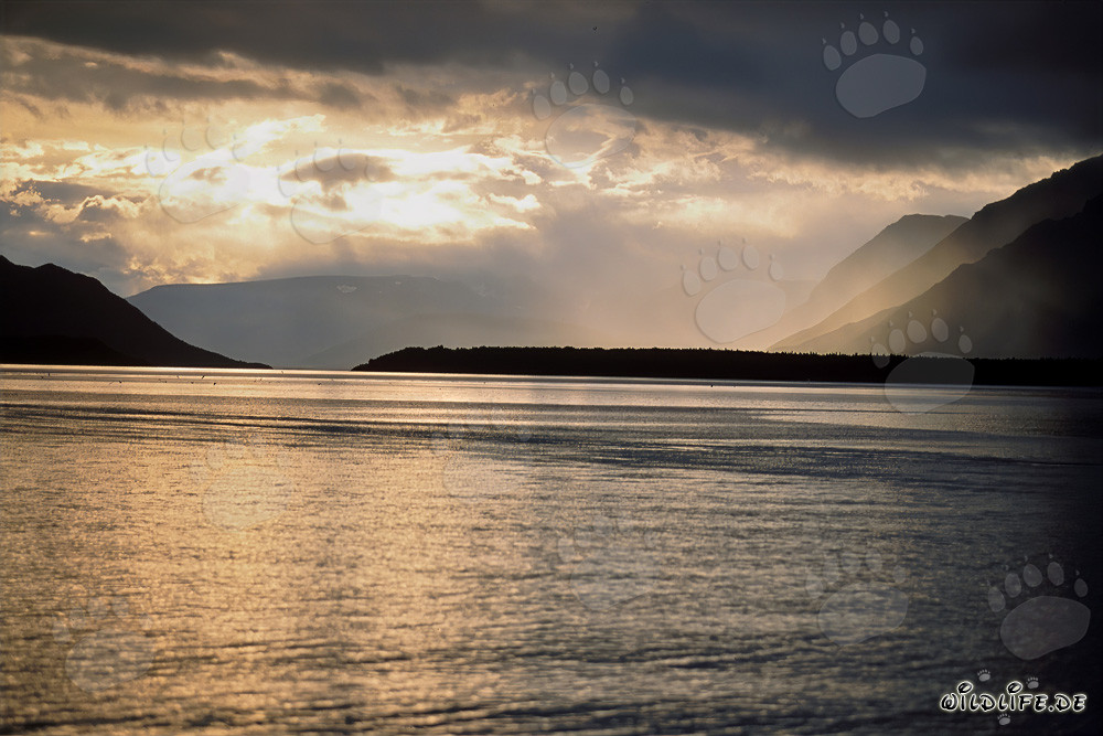 Malerische Regenstimmung am Naknek Lake in Alaska