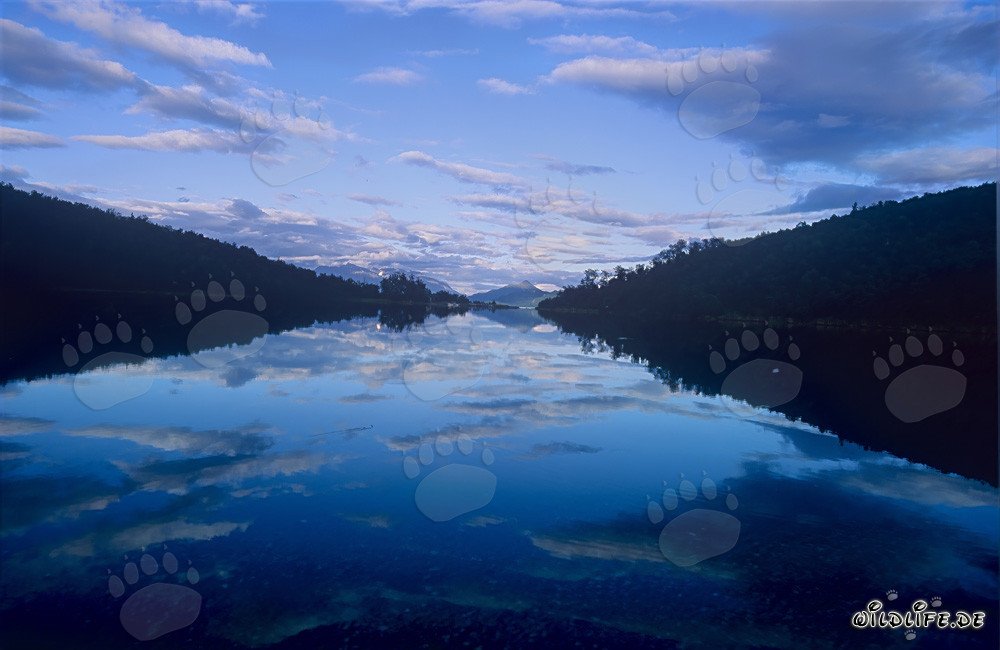 Magical Evening at Lake Coville in Alaska