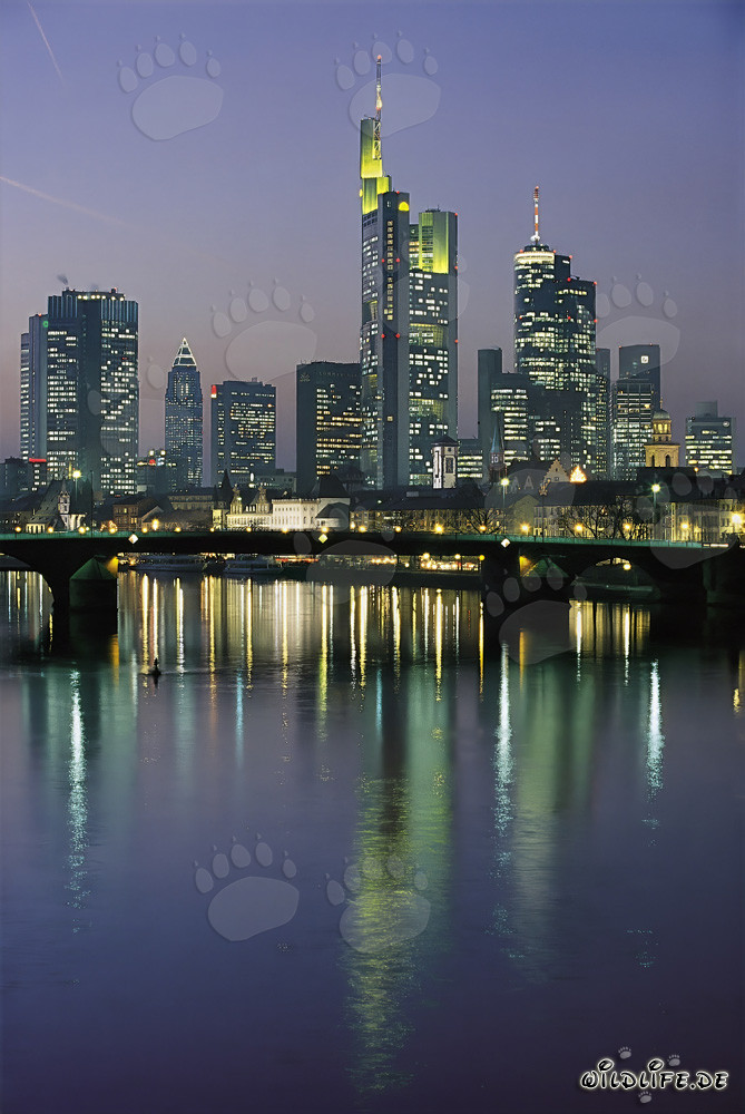Skyline de Francfort de nuit avec des gratte-ciel imposants