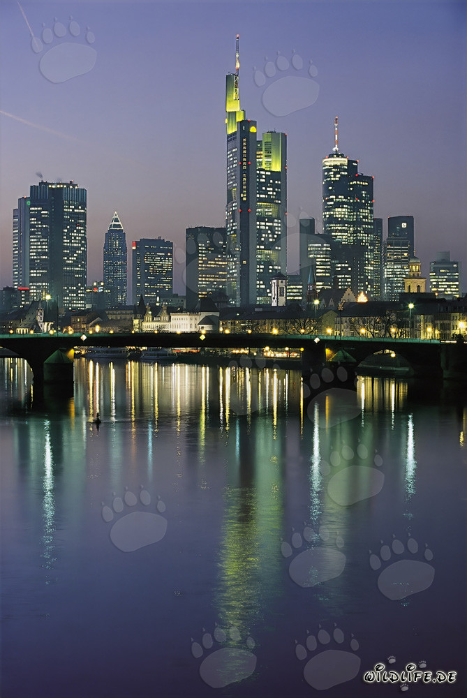 Frankfurt skyline at night with impressive skyscrapers