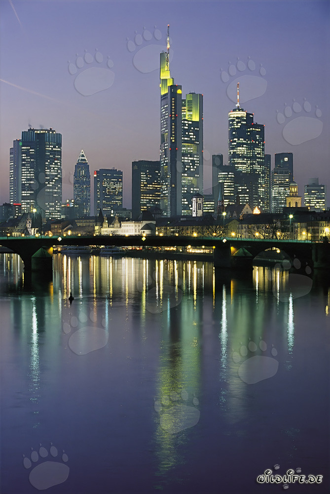 Fascinantes rascacielos de Frankfurt de noche