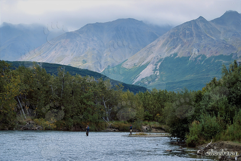 Fisherman fishing for salmon in Alaska