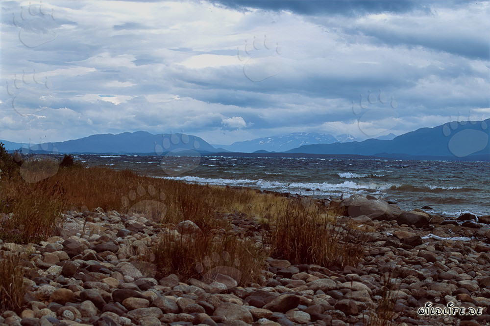 Stormy Scene: White Foamcrowns on Naknek Lake in Alaska